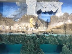 -成都浩海立方海洋公园