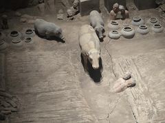 -汉景帝阳陵博物院