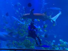 -太平洋海底世界