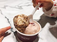 -哈根达斯(扬州瘦西湖店)