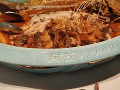 -阿五黄河大鲤鱼(英协路店)