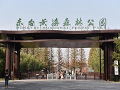 -黄海国家森林公园