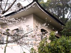 -武汉大学-樱园