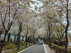 -广州动物园