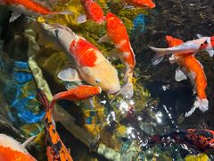 -太平洋海底世界