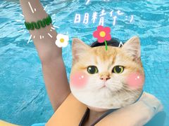 -青鱼湾水上乐园