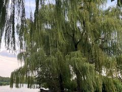 -洛阳市隋唐城遗址植物园