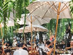 -Fern Forest Cafe