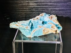 -中国地质博物馆