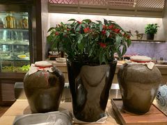 大堂-嘉定凯悦·咖啡厅