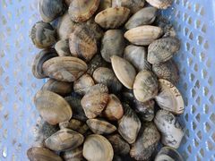 -亚龙湾8号(丁村万人海鲜广场店)