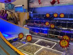 -喜碧海鲜·二十年本土海鲜老字号(上排店)