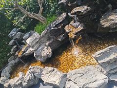 -观宴·品质赣菜(高新大道店)