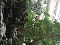 营口皇家园林酒店海鲜自助-皇家园林酒店