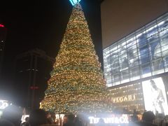 -Tiffany & Co.蒂芙尼
(南京德基广场店)