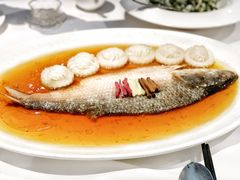 -苏浙总会(国金中心店)