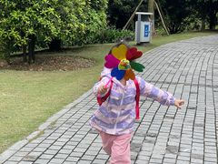 -铁山坪森林公园