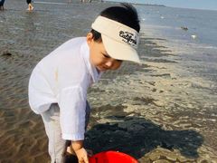 -南汇嘴观海公园