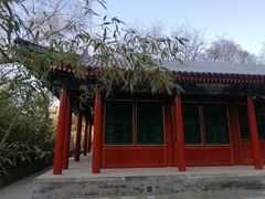 -北京动物园-畅观楼