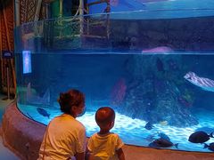 -沈阳海洋探索中心