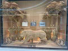 -Dior迪奥(海信广场店)