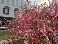 -北京邮电会议中心