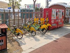 -上海长兴岛郊野公园