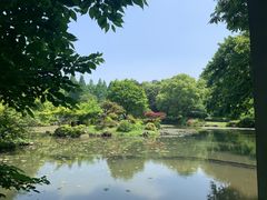 -杭州植物园