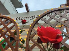 -格鲁·秀色Georgia’s Feast