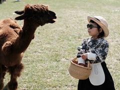 -大连铭湖国际观光牧场