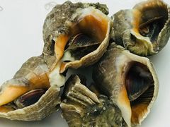 -京贸物联批发市场