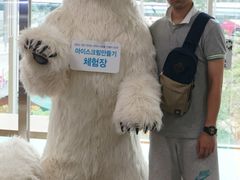 -济州岛泰迪熊博物馆