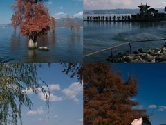 -菌自由丨野生菌火锅特色庭院餐厅(丽江古城店)