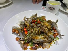 捞汁鱼皮-广东道至正餐厅(区庄店)
