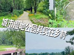 -翠湖国家城市湿地公园