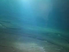 -白鹤梁水下博物馆