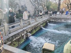 -环城公园