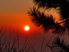 -泰山风景名胜区