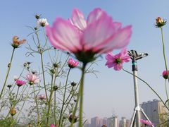 -西安汉城湖景区