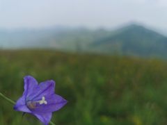 -北京灵山风景区