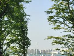 -金鸡湖景区