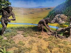 -马鞍山市博物馆