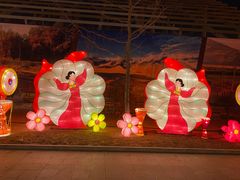 -南宫五洲植物乐园