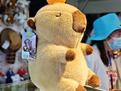 -北京展览馆