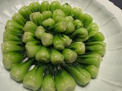 -子福慧(虹桥店)