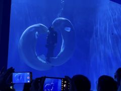 -多彩贵州城极地海洋世界