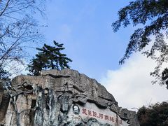 -莫里热带雨林景区