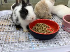 -三旗百汇商品城