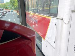 -BUS TOUR观光巴士