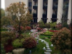 -上海崇明金茂凯悦酒店